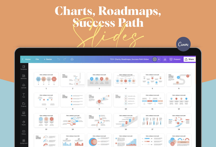 Charts, Roadmaps, Success Path Slides